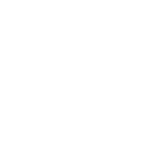 Faster Icon