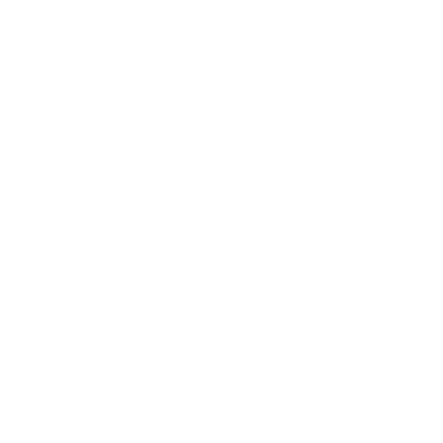 Our Process Icon