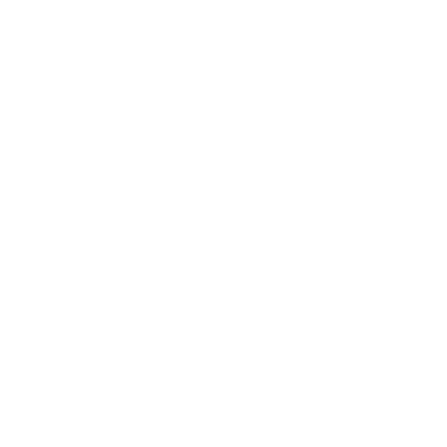 Studio Icon