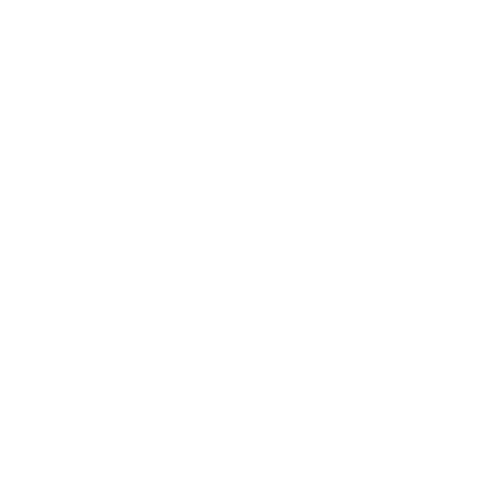Video Gallery Icon